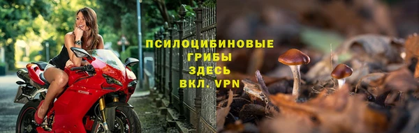 гидра Пересвет