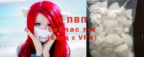 гидра Пересвет