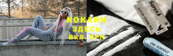 кокс Ельня